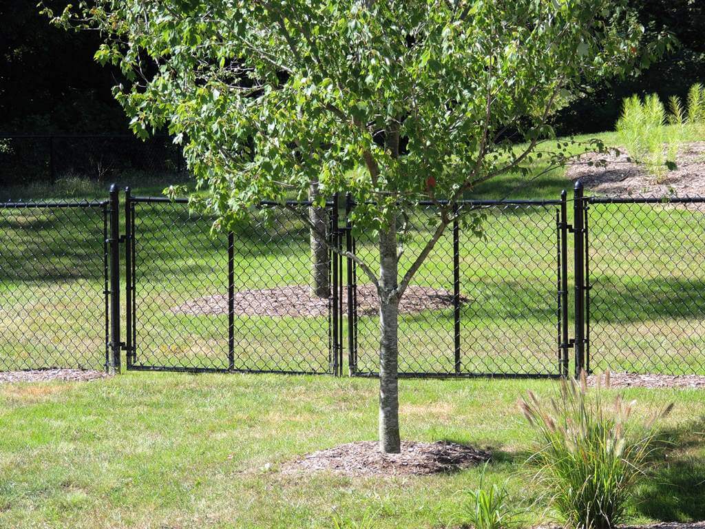 "Galvanized Fence: The Perfect Solution for Rust Prevention"