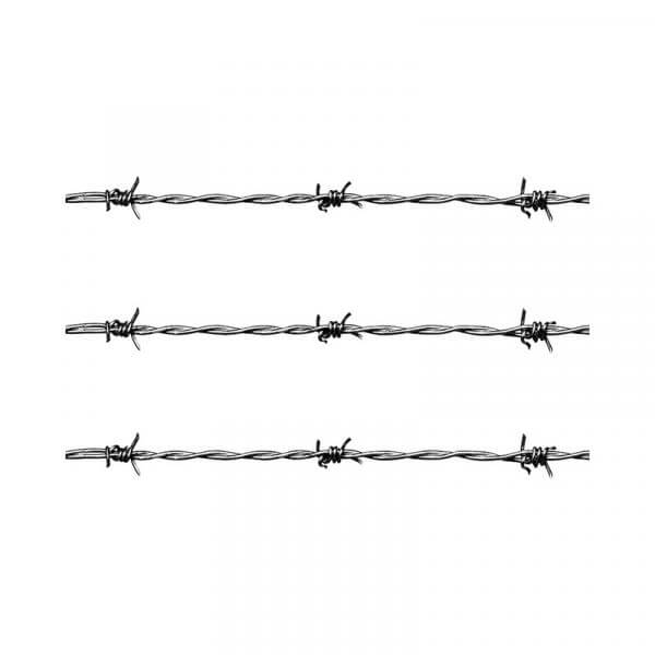 Don't Let Intruders Get the Best of You - Use Security Spike Strips